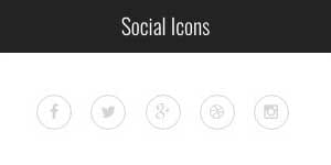 social icon 2 1