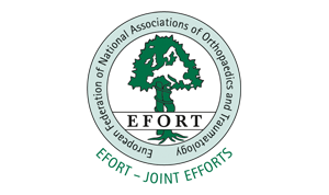 Efort